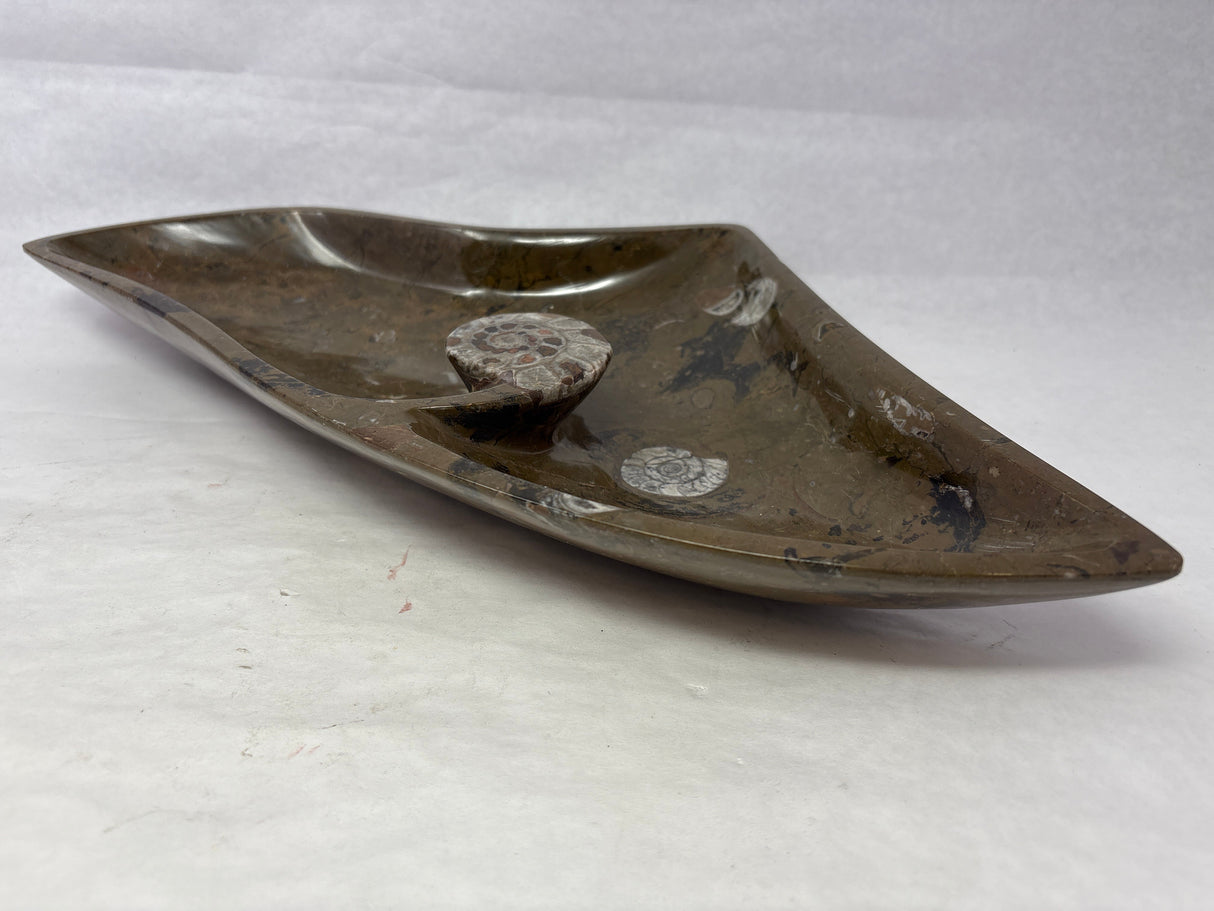 Triangular Ammonite & Orthoceras Fossil Bowl in Brown Seabed with Ammonite Feature