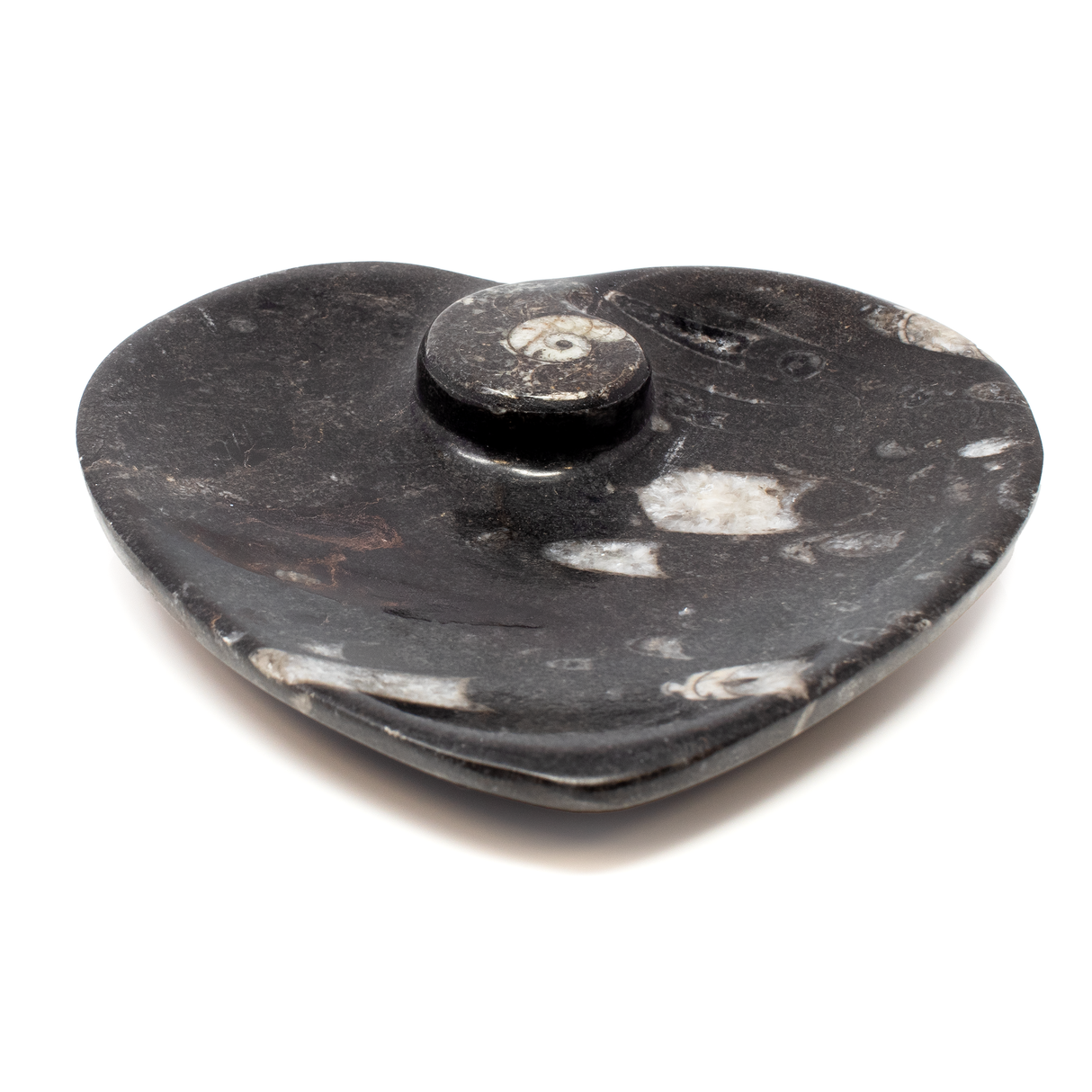Orthoceras and Ammonite SeaBed Fossil Small Heart Dish