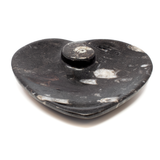 Orthoceras and Ammonite SeaBed Fossil Small Heart Dish