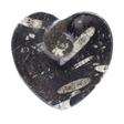 View of Orthoceras and Ammonite SeaBed Fossil Small Heart Dish