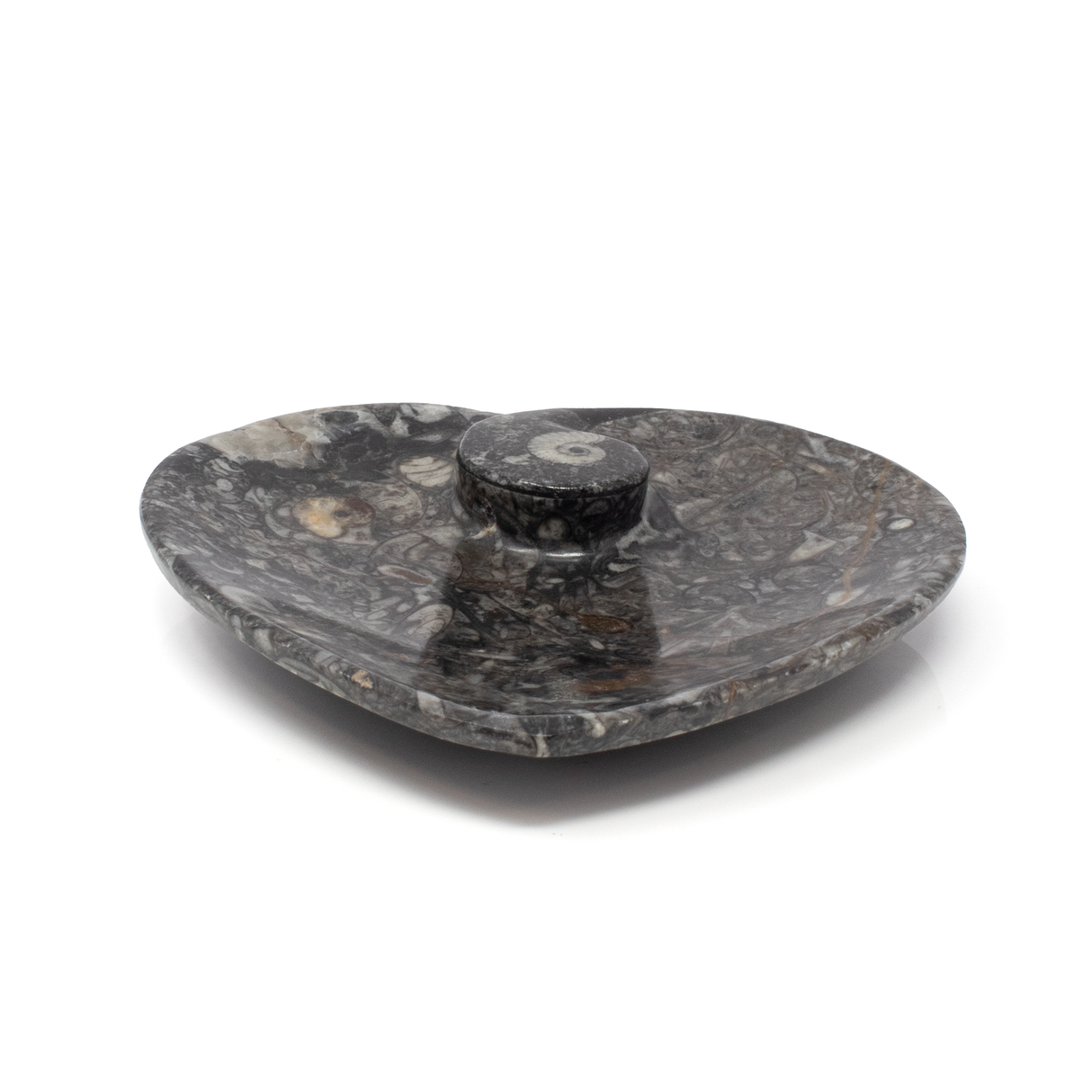 Orthoceras and Ammonite SeaBed Fossil Small Heart Dish