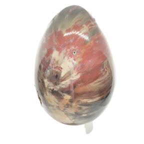 View of Madagascar Petrified Wood Egg on Lucite Stand
