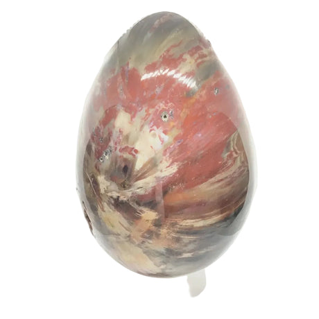 View of Madagascar Petrified Wood Egg on Lucite Stand