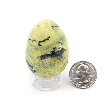 View of Serpentine Egg with Pyrite Inclusions on Lucite Stand from Peru