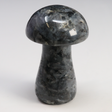 View of Larvikite Mushroom Carving