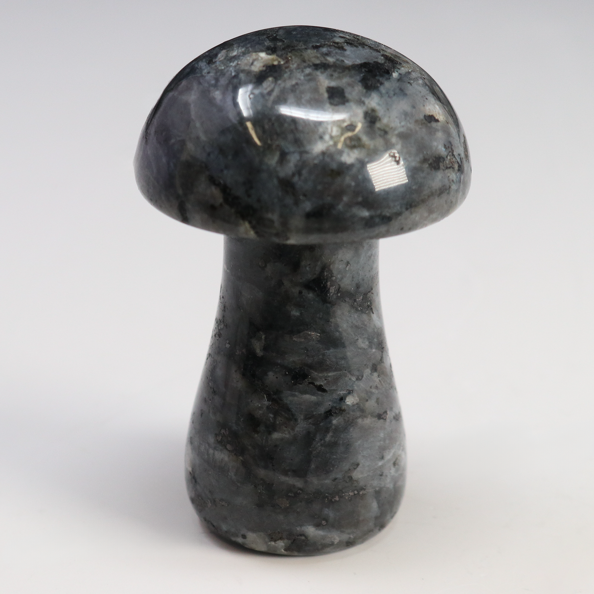 View of Larvikite Mushroom Carving
