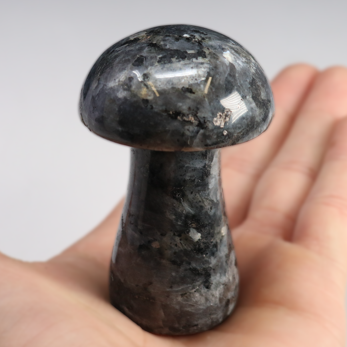 Larvikite Mushroom Carving
