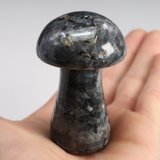 Larvikite Mushroom Carving