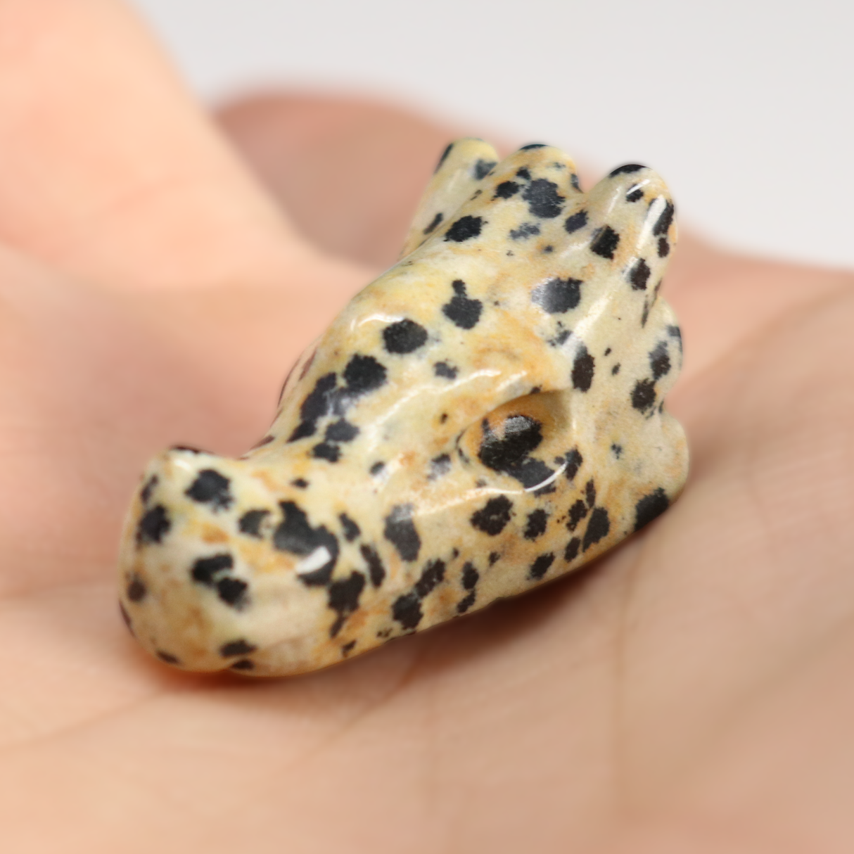 View of Dalmatian Jasper Dragon Skull Carving