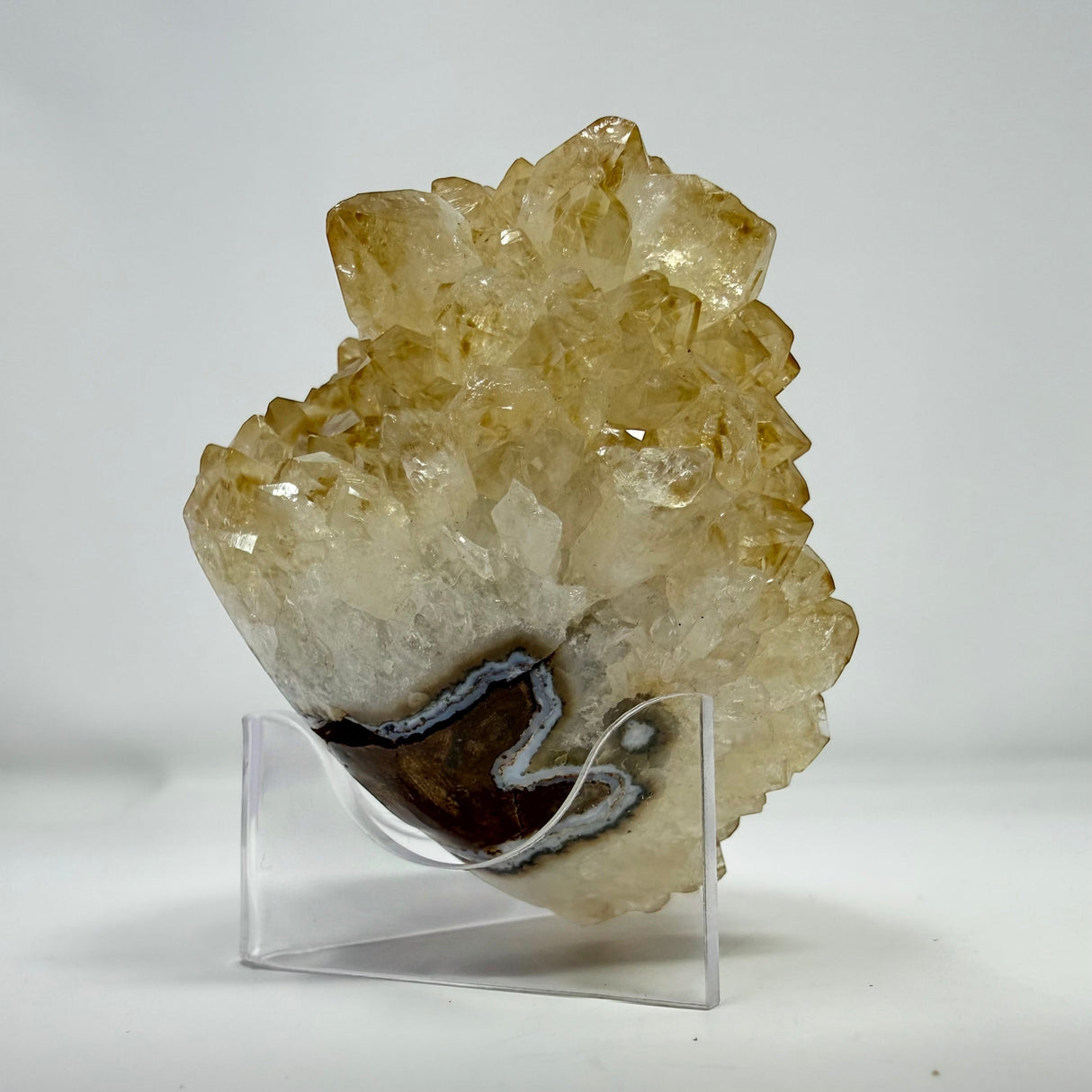 Polished Natural Citrine Crystal Stalactite Knobs on Lucite Stand