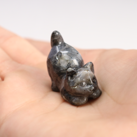 View of Larvikite Cat Carving