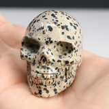 View of Dalmatian Jasper Skull Carving