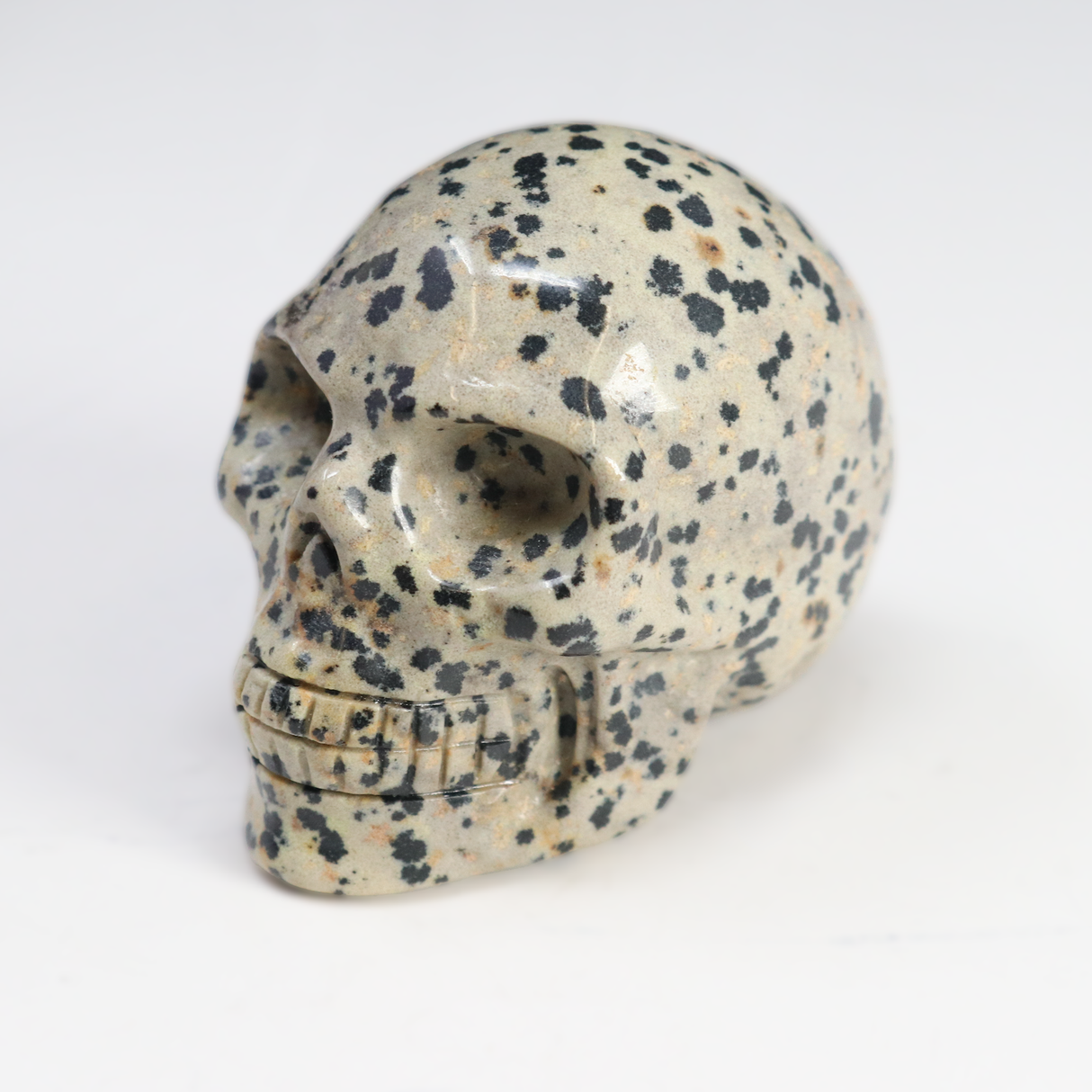 Dalmatian Jasper Skull Carving
