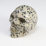 Dalmatian Jasper Skull Carving