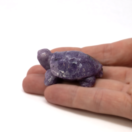 View of Lepidolite Turtle Carving