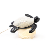 Turtle Onyx Lamp with Black Onyx Body