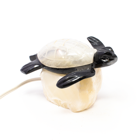 View of Turtle Onyx Lamp with Black Onyx Body