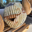 Green Talan barrel cactus sculpture with a druze-lined crystal vug opening and rust banding over pale green stone