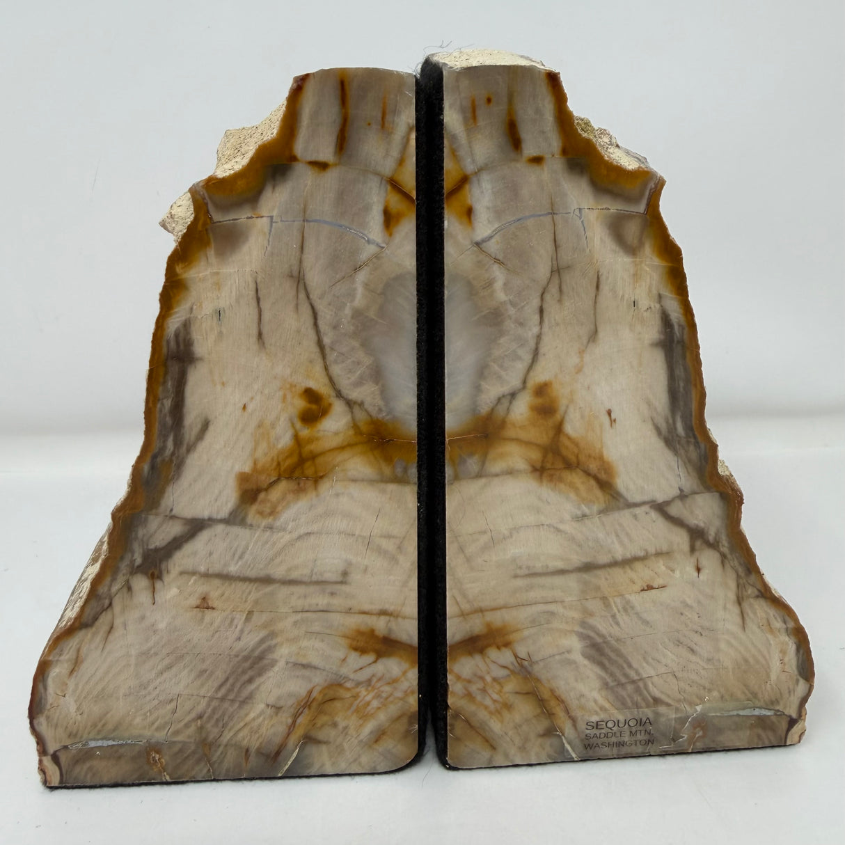 Saddle Mountain Sequoia Petrified Wood Bookends - Small