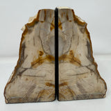 Saddle Mountain Sequoia Petrified Wood Bookends - Small