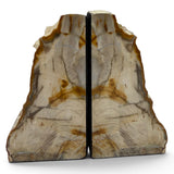 Saddle Mountain Sequoia Petrified Wood Bookends - Small