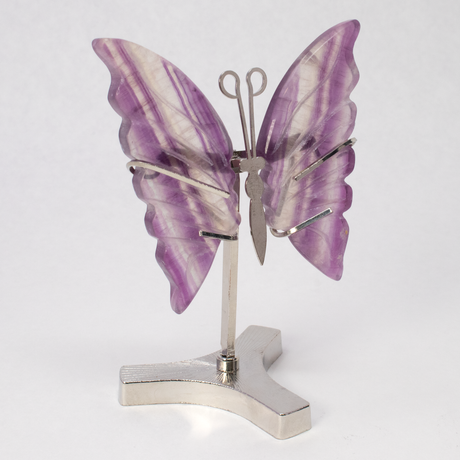 View of Rainbow Fluorite Butterfly Wings Carving with Stand
