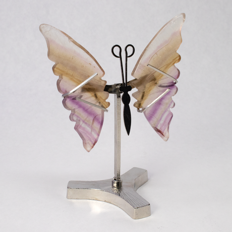 View of Rainbow Fluorite Butterfly Wings Carving with Stand