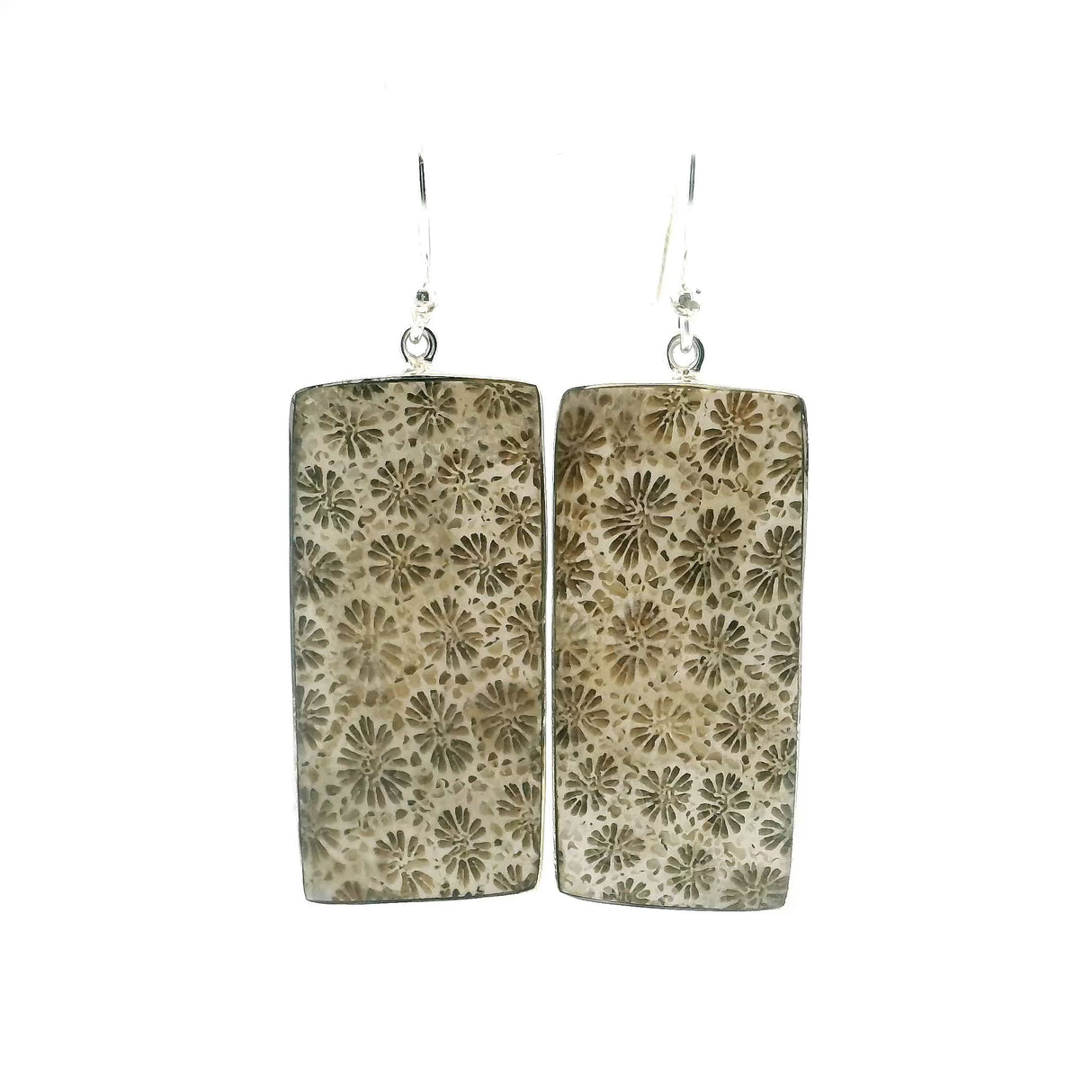 View of Fossilized Coral Dangle Earrings - Flat Cut Rectangle with Simple 925 Sterling Silver Bezel