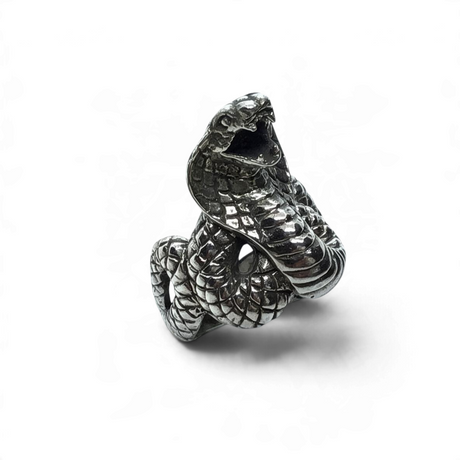 Rare Earth Gallery sterling silver ring featuring a detailed raised cobra snake design with a wavy band