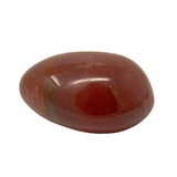 Madagascar Petrified Wood Palm Stone