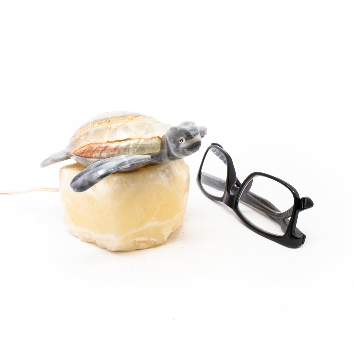 Turtle Onyx Lamp with Gray body