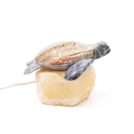 View of Turtle Onyx Lamp with Gray body