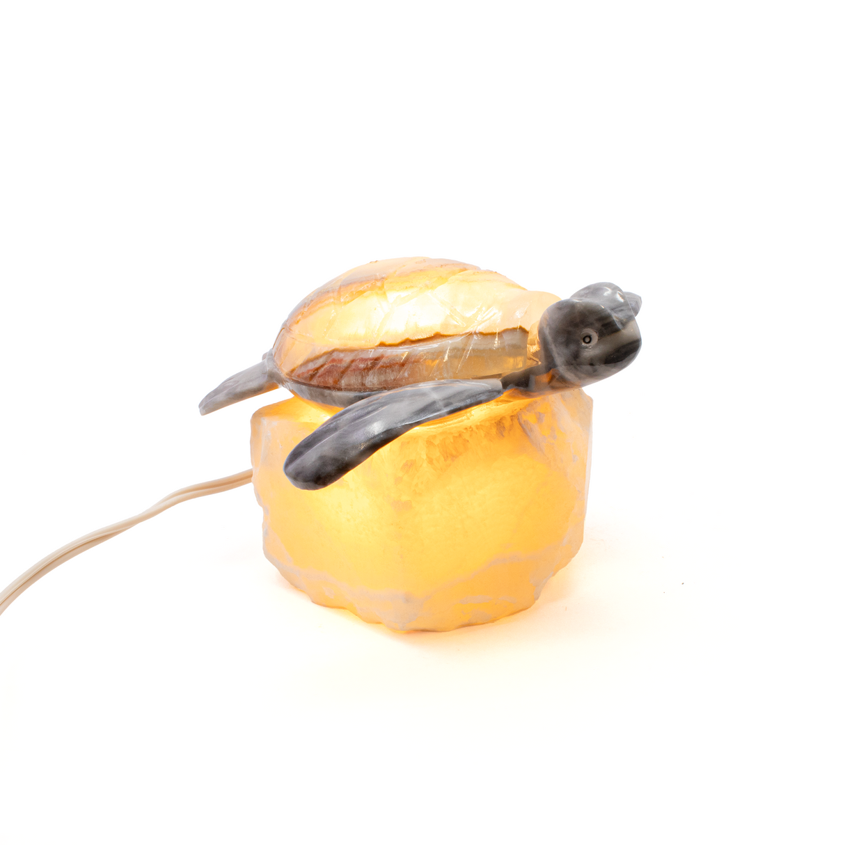 Turtle Onyx Lamp with Gray body