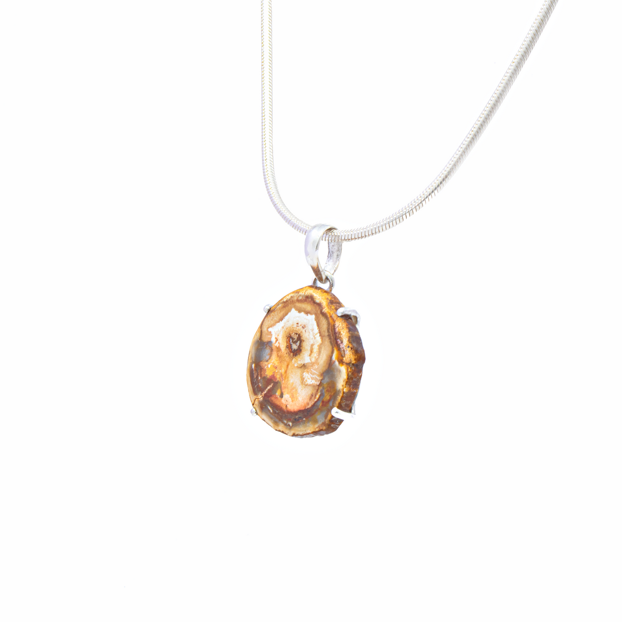 Madagascar Petrified Wood Pendant - Slice Prong Set with 925 Sterling Silver - Cream Center with Deep Sienna Edges