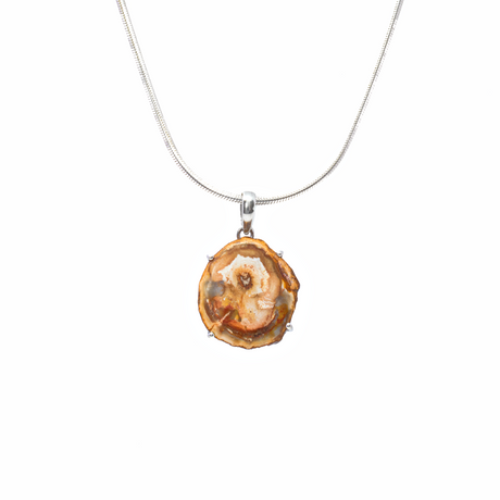 View of Madagascar Petrified Wood Pendant - Slice Prong Set with 925 Sterling Silver - Cream Center with Deep Sienna Edges