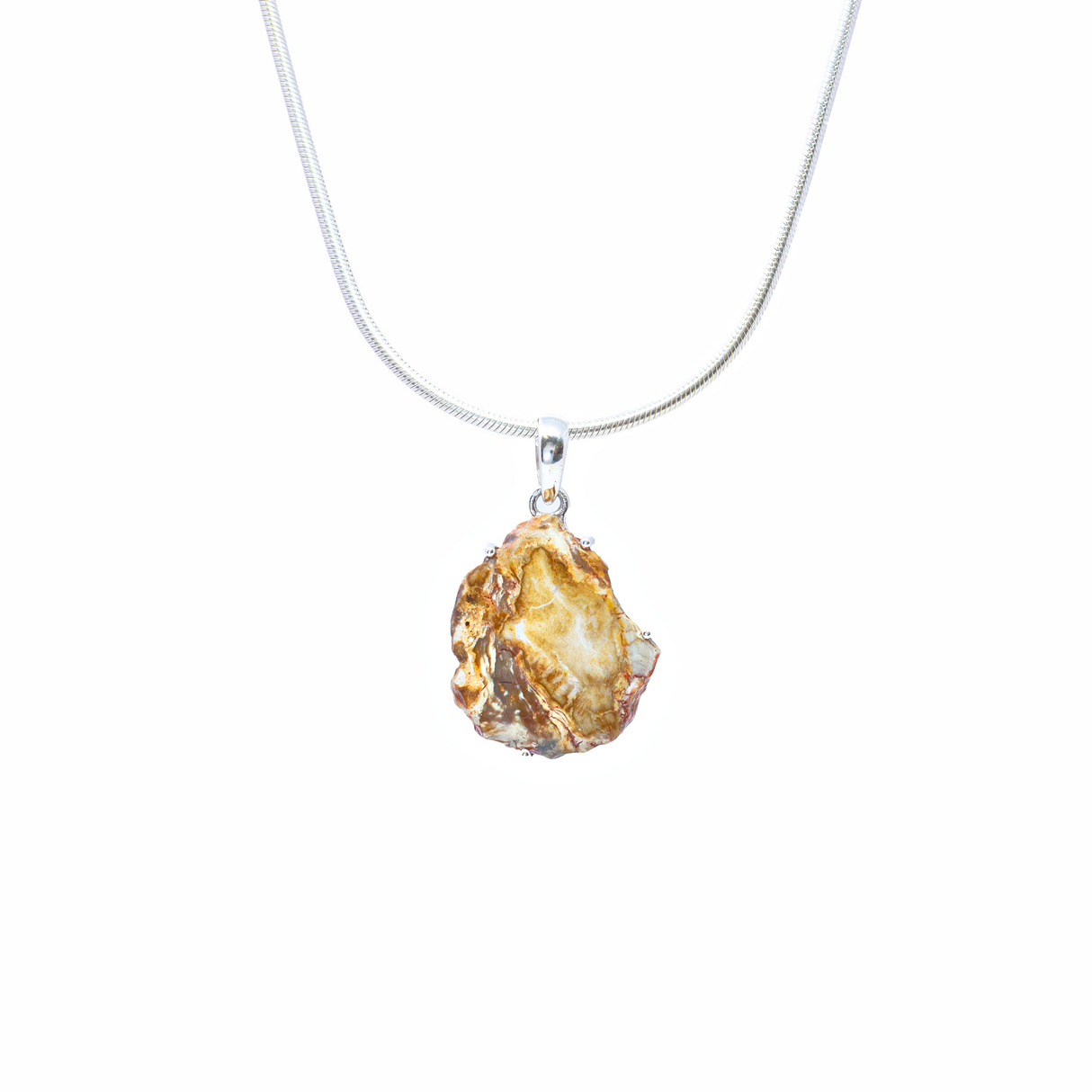 View of Madagascar Petrified Wood Pendant - Slice Prong Set with 925 Sterling Silver - Taupe & Tan Hues
