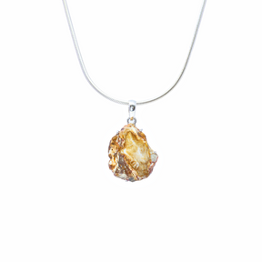 View of Madagascar Petrified Wood Pendant - Slice Prong Set with 925 Sterling Silver - Taupe & Tan Hues