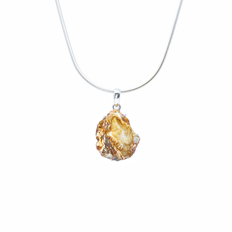 View of Madagascar Petrified Wood Pendant - Slice Prong Set with 925 Sterling Silver - Taupe & Tan Hues