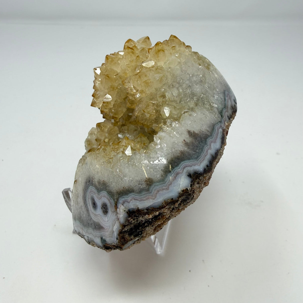 Polished Natural Citrine Crystal Stalactite Knobs on Lucite Stand