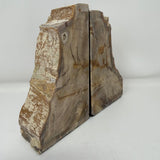 Saddle Mountain Sequoia Petrified Wood Bookends - Small