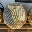Green Talan barrel cactus sculpture with gray caliche area, dark sparkling patch beside cream and green carved ribs
