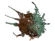 Star-shaped Michigan Splash Copper with bronze center and long green-patina spikes on a white backdrop