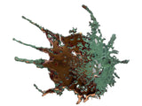 Star-shaped Michigan Splash Copper with bronze center and long green-patina spikes on a white backdrop