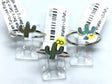 View of Green Turquoise Ring - Cactus Bezel Set in Simple 925 Sterling Silver sz8