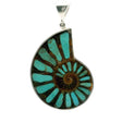 View of Ammonite Fossil Pendant - Open Ammonite Cross-section Inlaid with Aqua Blue Arizona Turquoise & Minimal Veining Bezel Set in 925 Sterling Silver