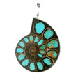 View of Ammonite Fossil Pendant - Open Ammonite Cross-section Inlaid with Arizona Turquoise & Caramel Inclusions in 2 Pockets Bezel Set in 925 Sterling Silver