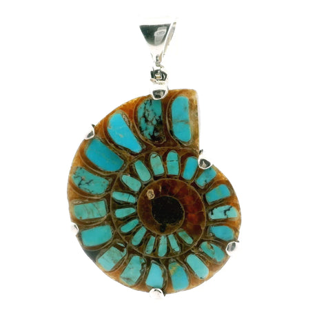 View of Ammonite Fossil Pendant - Open Ammonite Cross-section Inlaid with Vibrant Blue Arizona Turquoise & Some Dark Veining Prong Set in 925 Sterling Silver