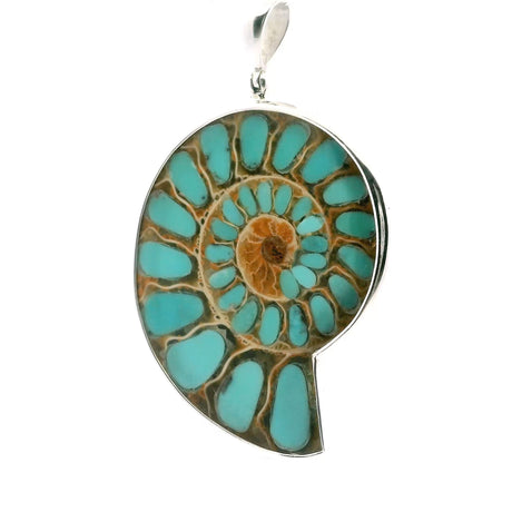 View of Ammonite Fossil Pendant - Open Inverted Ammonite Cross-section Inlaid with Veinless Arizona Turquoise Bezel Set in 925 Sterling Silver