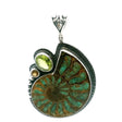 View of Ammonite Fossil Pendant - Open Ammonite Cross-section Inlaid with Smithsonite with Faceted Peridot Oval & Citrine Round Bezel Set in 925 Sterling Silver with Bead & Line Accents