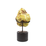 Pastel Green Chrysoprase End Cut on Rotation Custom Stand from Australia - Clean Pattern aka Citron Magnesite